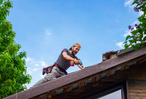 Best Asphalt Shingles Roofing  in Dahlone, GA