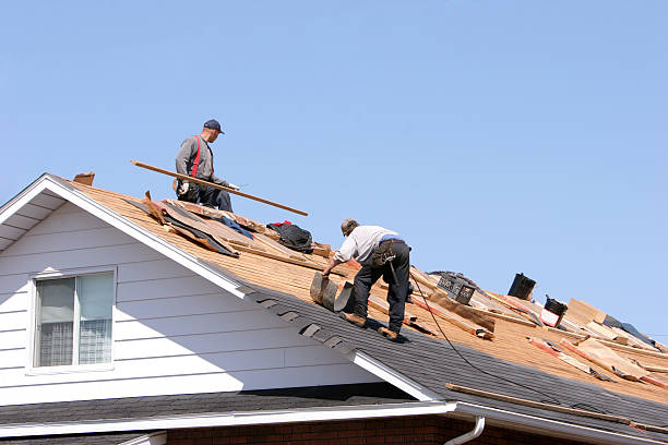 Trusted Dahlonega, GA Roofing services Experts