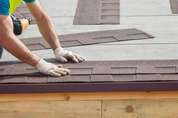 Best Solar Panel Roofing Installation  in Dahlone, GA